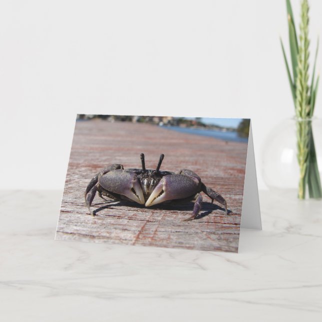 Little Mud Crab Karte (Vorderseite)
