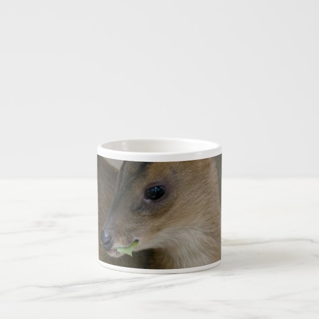 Little Muntjac Espressotasse (Vorderseite)