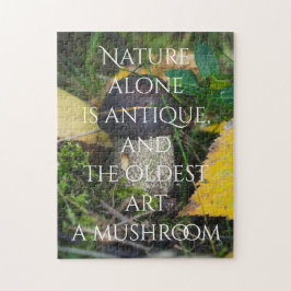 Little Mushroom