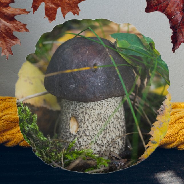 Little Mushroom Rundes Kissen (Von Creator hochgeladen)