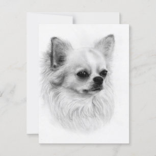 Little Observer - Handgemalt Chihuahua Portrait Postkarte