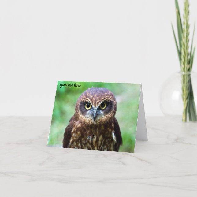 Little Owl Karte (Vorderseite)