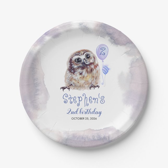 Little Owl Niedlich Blue Birthday Pappteller (Vorderseite)