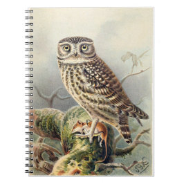 Little Owl Notebook Notizblock