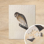 Little Owl | William Lewin<br><div class="desc">Little Owl (vor 1790) | William Lewins Little Owl ist ein bezauberndes und präzises Gemälde mit einer kleinen braunen Eule, die auf einem Ast auf einem minimalistischen neutralen Hintergrund steht. Das Kunstwerk erfasst den ausdrucksvollen Blick der Eule, die weichen Federn und die kompakte Form mit viel Liebe zum Detail. Die...</div>