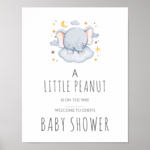 Little Peanut Baby Shower Sign - Boy Poster