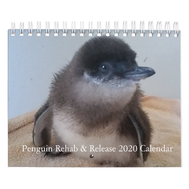 Little Penguin Kalender 2020 (Titelbild)