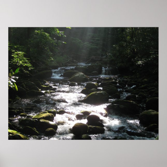 Little Pigeon River 2 Poster (Vorne)