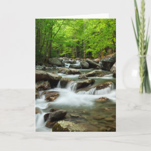 Little Pigeon River bei Greenbrier Karte