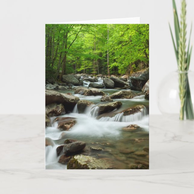 Little Pigeon River bei Greenbrier Karte (Vorderseite)