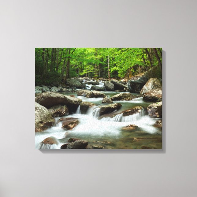 Little Pigeon River bei Greenbrier Leinwanddruck (Vorderseite)