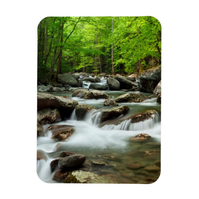 Little Pigeon River bei Greenbrier Magnet (Vertikal)