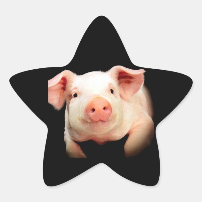 Little Piggy Stern-Aufkleber (Vorderseite)