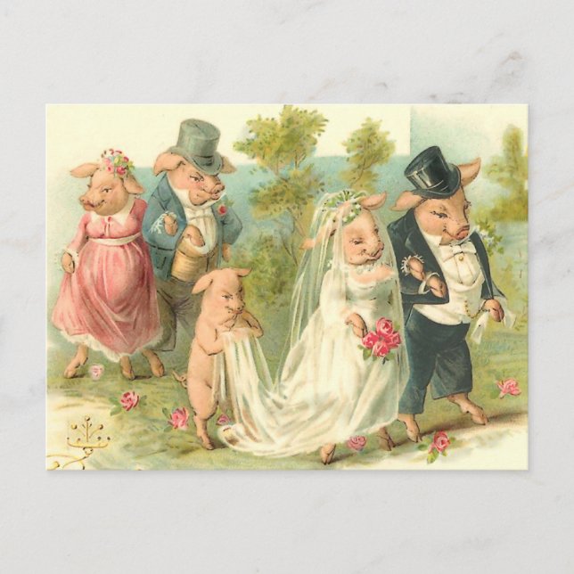 Little Piggy Wedding Postkarte (Vorderseite)