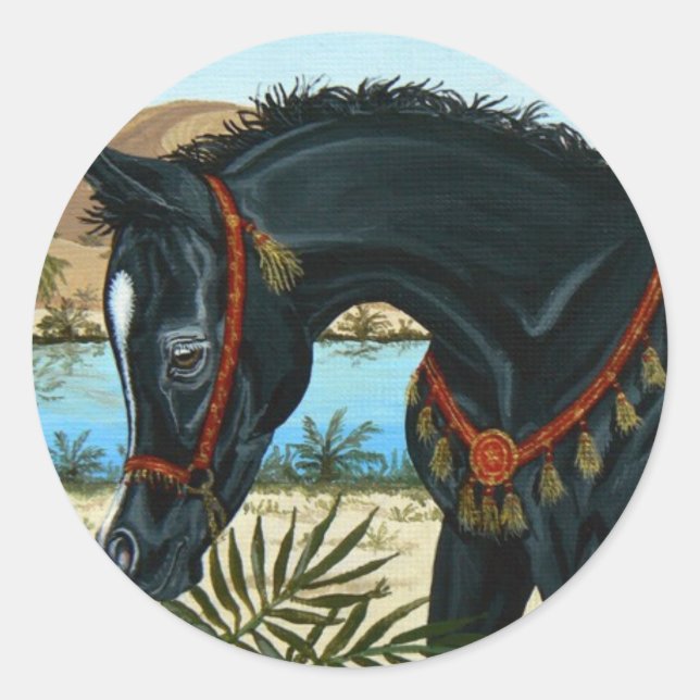 Little Prince Arabian Pferdefoto-Aufkleber Runder Aufkleber (Vorderseite)