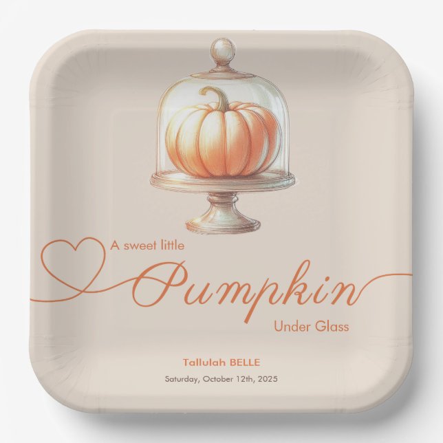 Little Pumpkin Baby Dusche - Herbstschick Pappteller (Vorderseite)