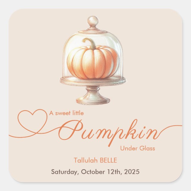 Little Pumpkin Baby Dusche - Herbstschick Quadratischer Aufkleber (Vorderseite)