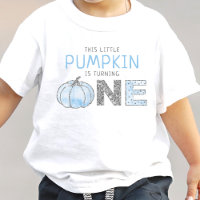 Little Pumpkin Boys 1st Birthday