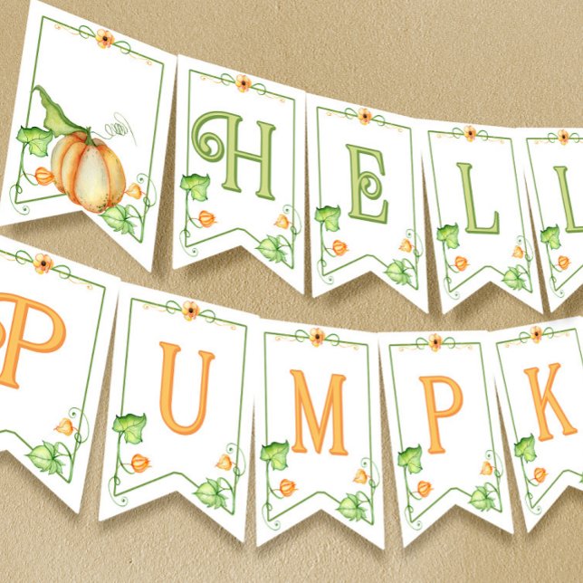 Little Pumpkin Fall Gender Neutral Baby Dusche Wimpelkette (Von Creator hochgeladen)