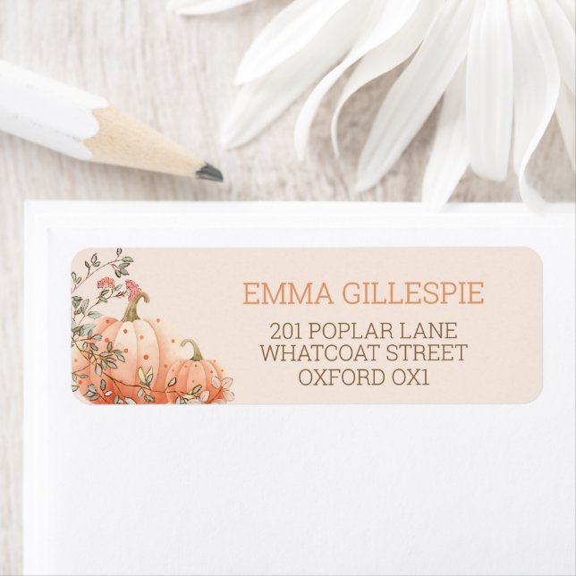 Little Pumpkin Fall Herbst Babydusche Adresse (Insitu)