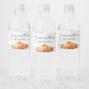 Little Pumpkin Fall Picnic Baby Dusche