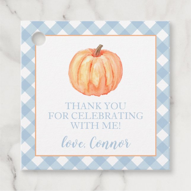 Little Pumpkin Pastel Blue kariert erster Geburtst Geschenkanhänger (Vorderseite)