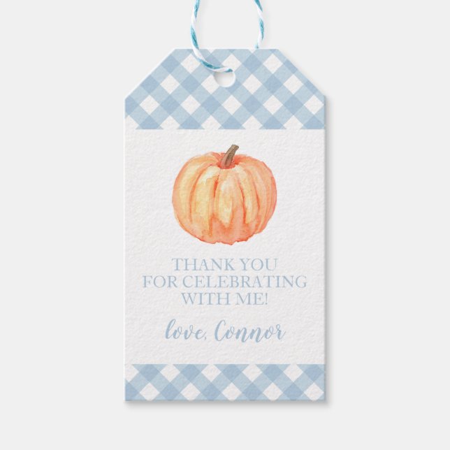 Little Pumpkin Pastellblau kariert erster Geburtst Geschenkanhänger (Vorderseite)