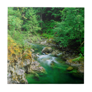 Little Qualicum River Fliese