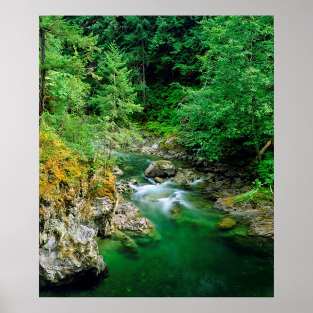 Little Qualicum River Poster (Vorne)
