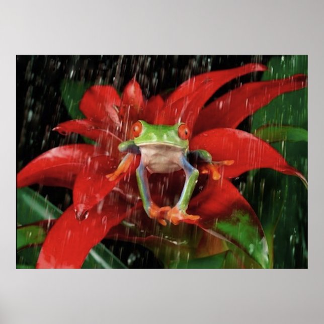 Little_Rain_(4) Poster (Vorne)