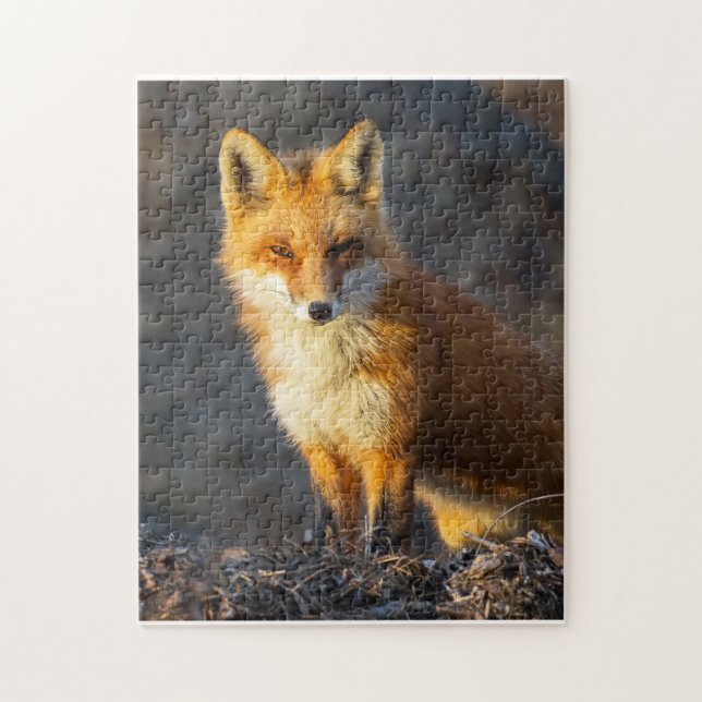 Little Red Fox (Vertikal)