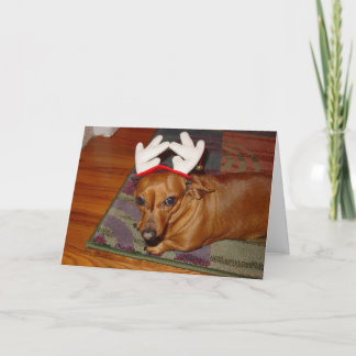 Little Reindeer Feiertagskarte