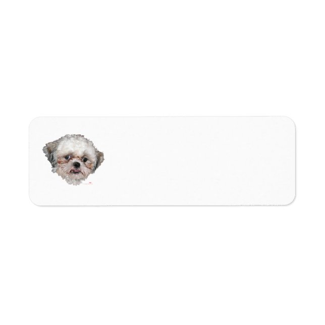 Little Rescued Shih Tzu Head Study (Vorne)