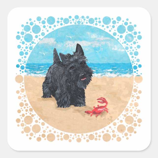 Little Scottie findet einen Krabben am Strand Quadratischer Aufkleber (Vorderseite)