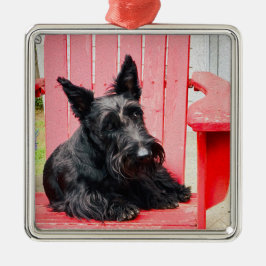 Little Scottie in einem großen roten Stuhl Ornament Aus Metall