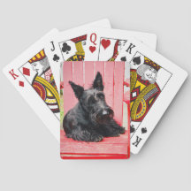 Little Scottie in einem großen roten Stuhl