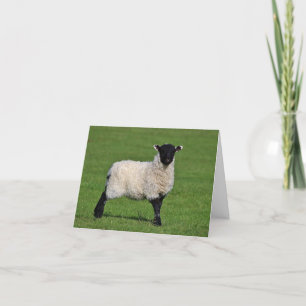 Little Sheep Custom Danke Card