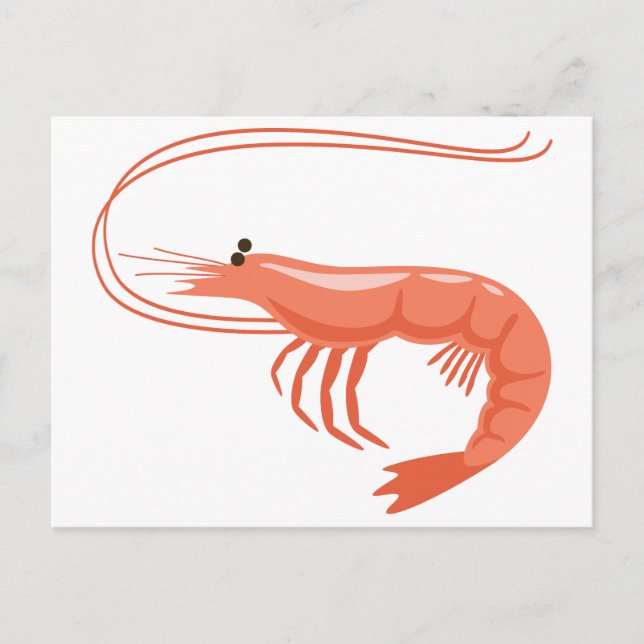 Little Shrimp Postkarte (Vorderseite)