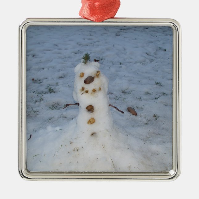 Little Snowman Pine Cone Nose Silbernes Ornament (Vorne)