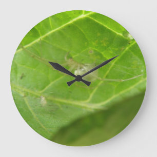 Little Spider Wall Clock Große Wanduhr