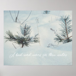 Little spruces under snow poster