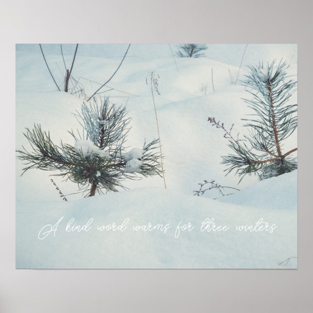 Little spruces under snow poster (Vorne)