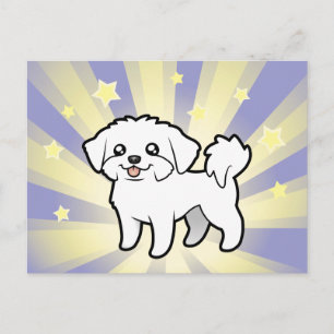Little Star Maltese (Welpenschnitt) Postkarte