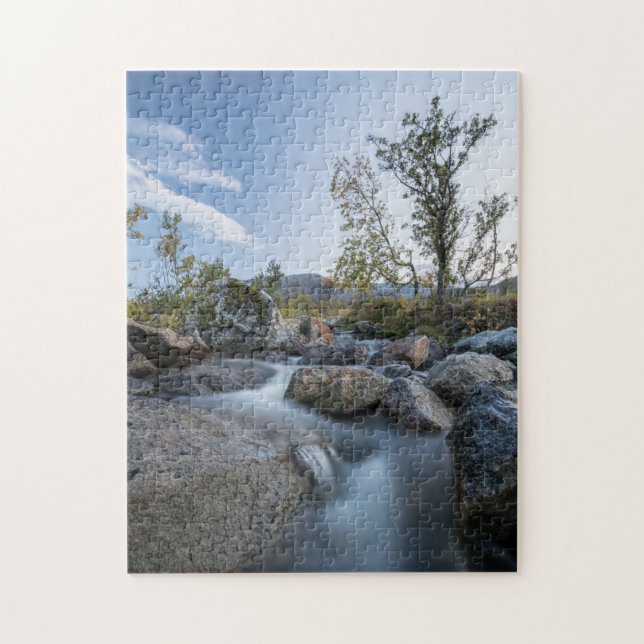 Little Stream Nature Foto (Vertikal)