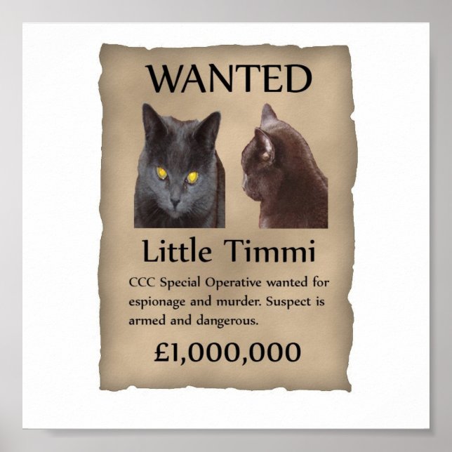 Little Timmi wollte Poster (Vorne)