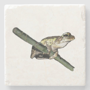 Little Tree Frog Oil Paint, Stone Untersetzer