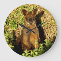 Little Wallaby