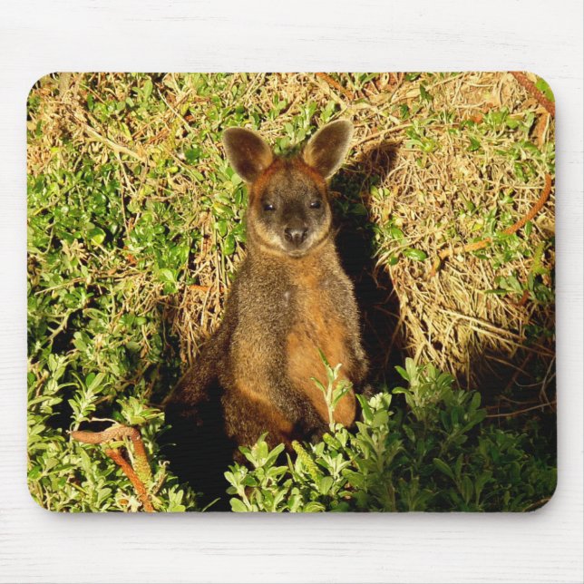 Little Wallaby Mousepad (Vorne)