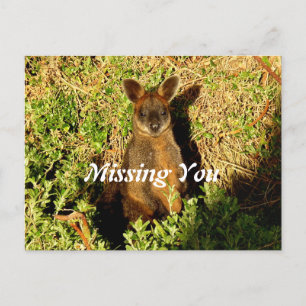 Little Wallaby Postkarte