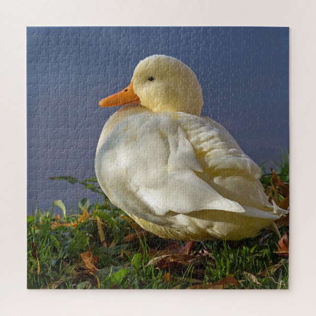Little White Duck (Vertikal)
